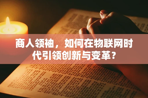 商人领袖，如何在物联网时代引领创新与变革？