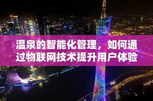 温泉的智能化管理，如何通过物联网技术提升用户体验？