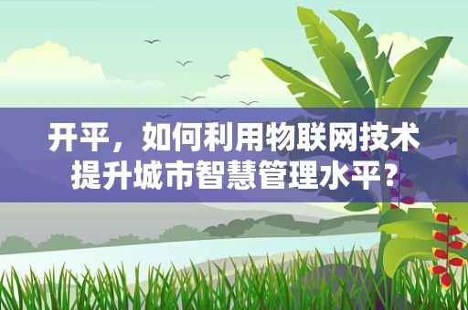开平，如何利用物联网技术提升城市智慧管理水平？