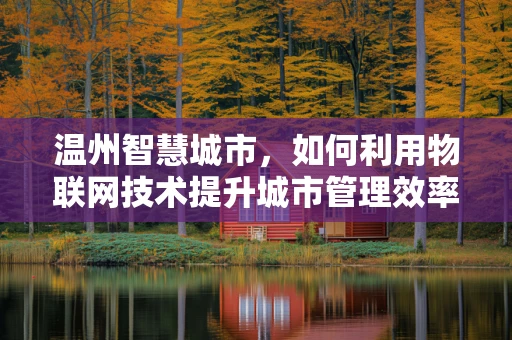 温州智慧城市，如何利用物联网技术提升城市管理效率？