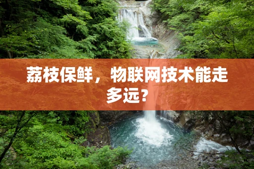 荔枝保鲜，物联网技术能走多远？