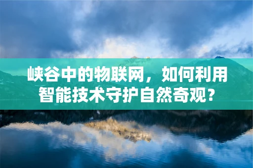 峡谷中的物联网，如何利用智能技术守护自然奇观？