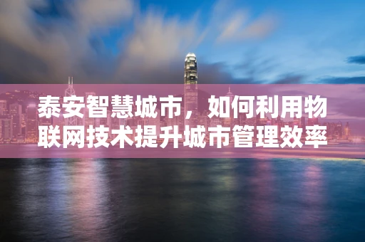 泰安智慧城市，如何利用物联网技术提升城市管理效率？