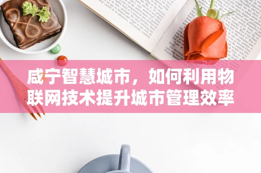 咸宁智慧城市，如何利用物联网技术提升城市管理效率？