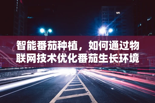 智能番茄种植，如何通过物联网技术优化番茄生长环境？