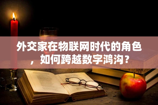外交家在物联网时代的角色，如何跨越数字鸿沟？