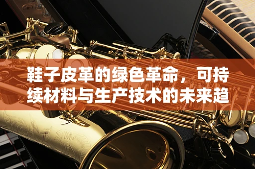 鞋子皮革的绿色革命，可持续材料与生产技术的未来趋势？