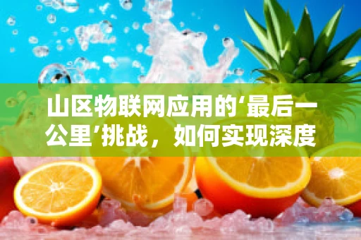 山区物联网应用的‘最后一公里’挑战，如何实现深度覆盖与稳定连接？