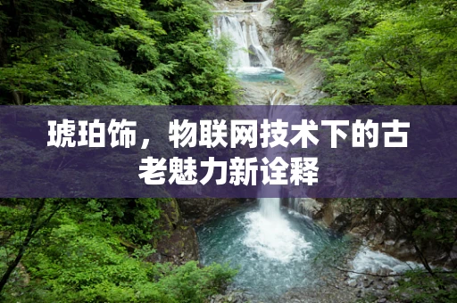 琥珀饰，物联网技术下的古老魅力新诠释