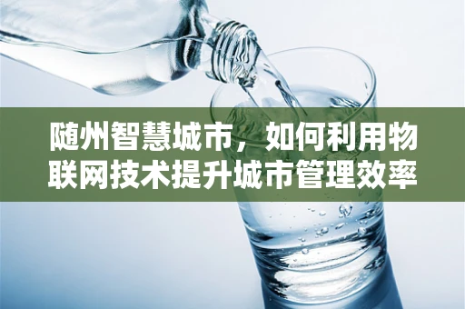 随州智慧城市，如何利用物联网技术提升城市管理效率？