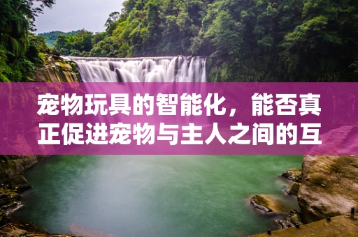 宠物玩具的智能化，能否真正促进宠物与主人之间的互动？