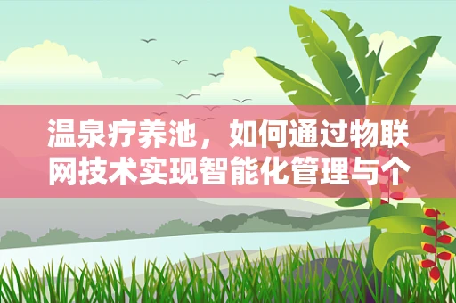 温泉疗养池，如何通过物联网技术实现智能化管理与个性化体验？