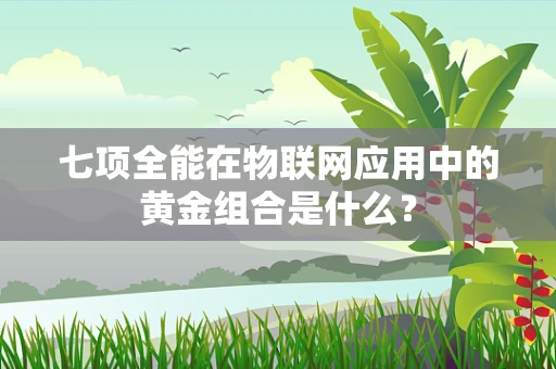 七项全能在物联网应用中的黄金组合是什么？