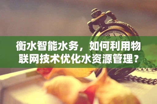 衡水智能水务，如何利用物联网技术优化水资源管理？