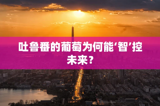 吐鲁番的葡萄为何能‘智’控未来？