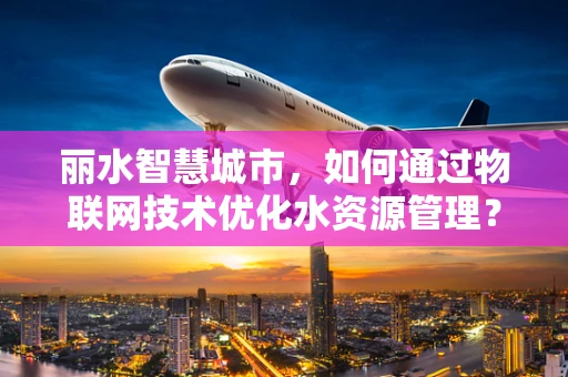 丽水智慧城市，如何通过物联网技术优化水资源管理？
