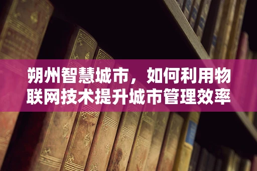 朔州智慧城市，如何利用物联网技术提升城市管理效率？