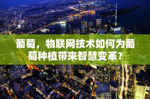 葡萄，物联网技术如何为葡萄种植带来智慧变革？