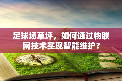 足球场草坪，如何通过物联网技术实现智能维护？