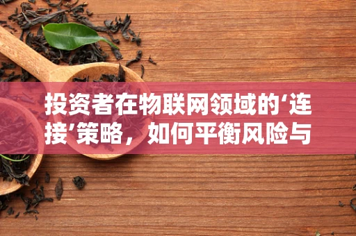 投资者在物联网领域的‘连接’策略，如何平衡风险与机遇？