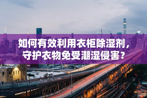 如何有效利用衣柜除湿剂，守护衣物免受潮湿侵害？