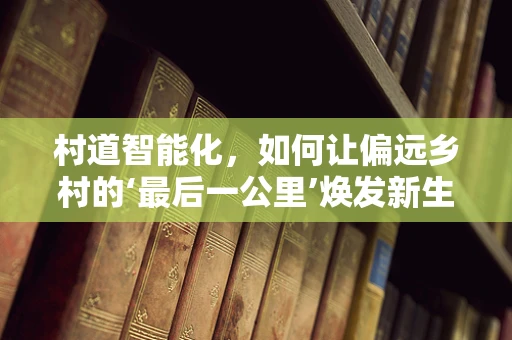 村道智能化，如何让偏远乡村的‘最后一公里’焕发新生？