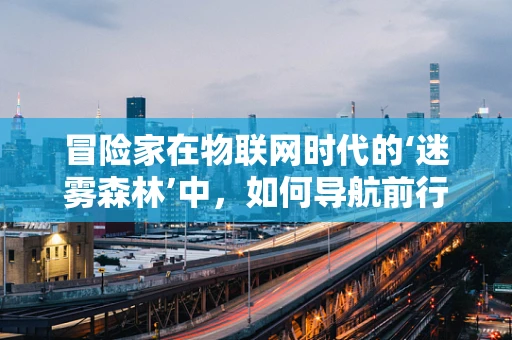 冒险家在物联网时代的‘迷雾森林’中，如何导航前行？
