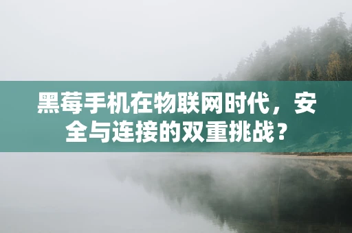 黑莓手机在物联网时代，安全与连接的双重挑战？