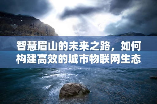 智慧眉山的未来之路，如何构建高效的城市物联网生态？