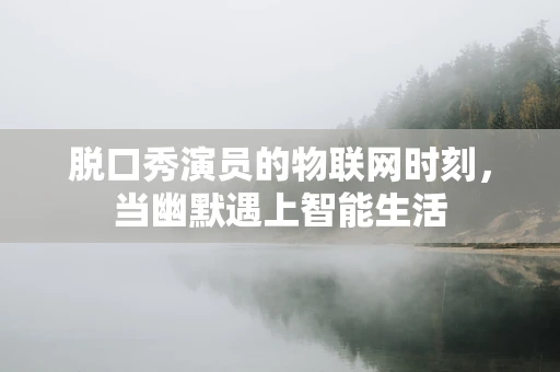 脱口秀演员的物联网时刻，当幽默遇上智能生活