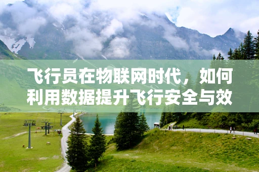 飞行员在物联网时代，如何利用数据提升飞行安全与效率？