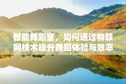智能舞蹈室，如何通过物联网技术提升舞蹈体验与效率？