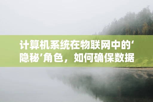 计算机系统在物联网中的‘隐秘’角色，如何确保数据安全与高效传输？