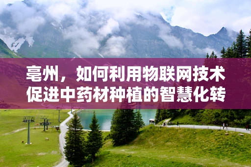 亳州，如何利用物联网技术促进中药材种植的智慧化转型？