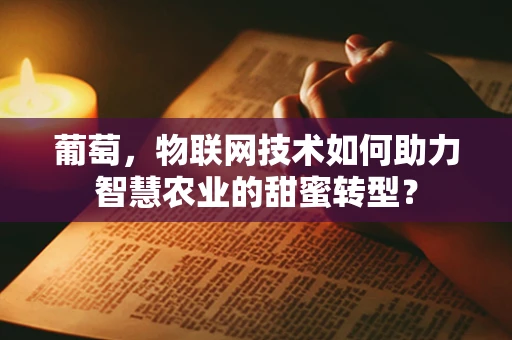葡萄，物联网技术如何助力智慧农业的甜蜜转型？