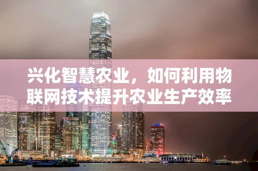兴化智慧农业，如何利用物联网技术提升农业生产效率？