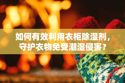 如何有效利用衣柜除湿剂，守护衣物免受潮湿侵害？