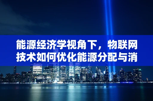能源经济学视角下，物联网技术如何优化能源分配与消费？
