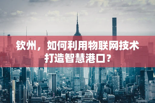 钦州，如何利用物联网技术打造智慧港口？