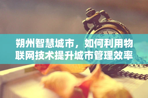 朔州智慧城市，如何利用物联网技术提升城市管理效率？