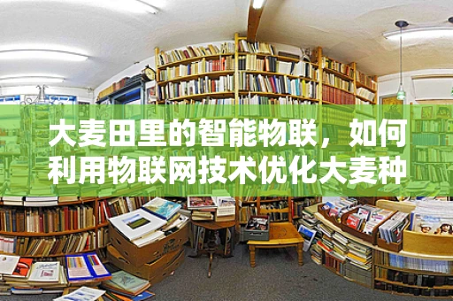 大麦田里的智能物联，如何利用物联网技术优化大麦种植管理？