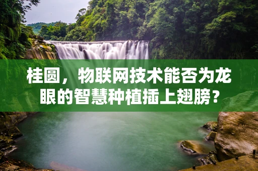 桂圆，物联网技术能否为龙眼的智慧种植插上翅膀？