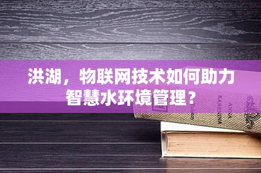 洪湖，物联网技术如何助力智慧水环境管理？
