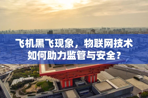 飞机黑飞现象，物联网技术如何助力监管与安全？