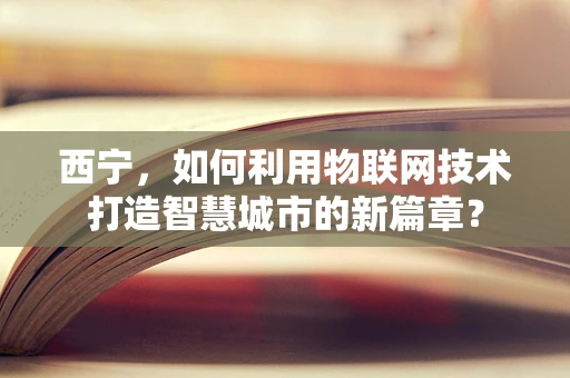 西宁，如何利用物联网技术打造智慧城市的新篇章？