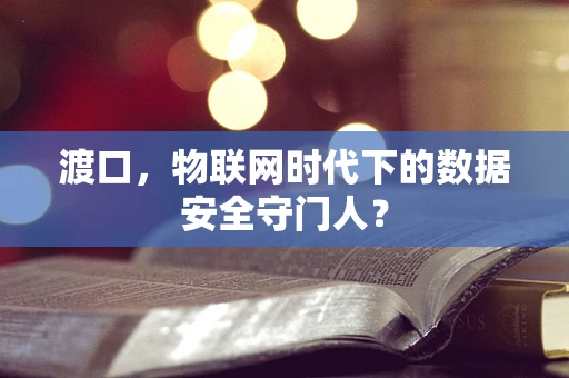 渡口，物联网时代下的数据安全守门人？