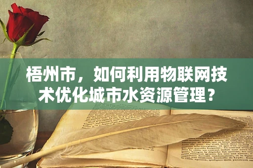 梧州市，如何利用物联网技术优化城市水资源管理？