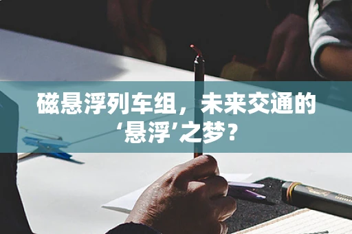 磁悬浮列车组，未来交通的‘悬浮’之梦？