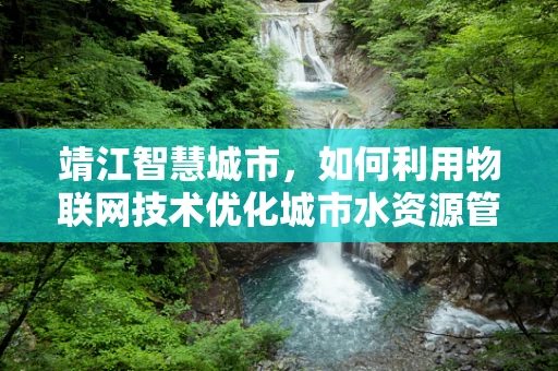 靖江智慧城市，如何利用物联网技术优化城市水资源管理？