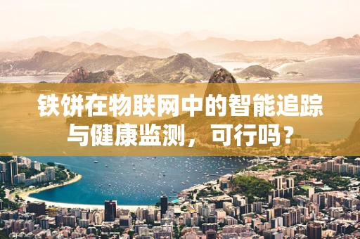 铁饼在物联网中的智能追踪与健康监测，可行吗？